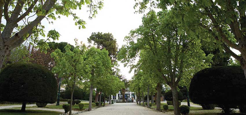 ΕΠΙΣΚΕΥΕΣ ΤΗΛΕΟΡΑΣΕΩΝ ΒΟΡΕΙΑ ΠΡΟΑΣΤΙΑ, από 30€ έως 95€